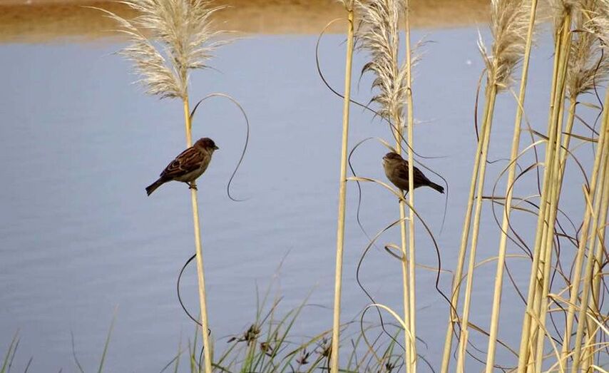 1. Maria Gutierrez-Cedron