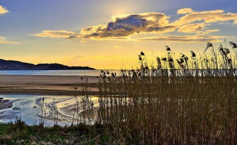 3. Alvaro Rdgz Perez