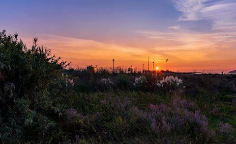 2. Fdo De La Pe&ntilde;a Moreira