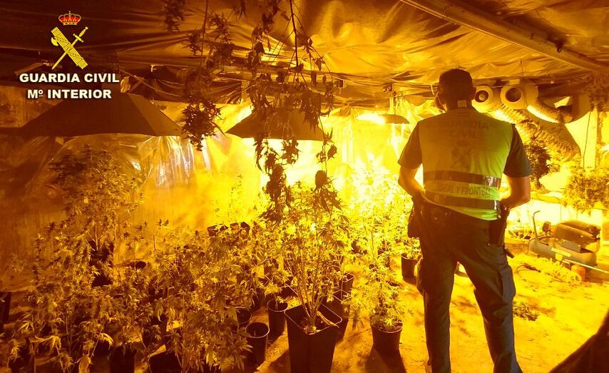 Agentes de la Guardia Civil en una de las plantaciones investigadas en Salvaterra