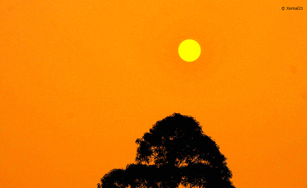 La jornada soleada prevista para hoy se ha truncado debido al humo generado por los incendios porugueses / Imagen  &copy; Xornal21