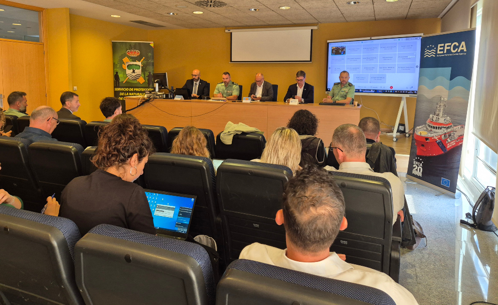La Guardia Civil desarticula una red internacional de tráfico de angulas