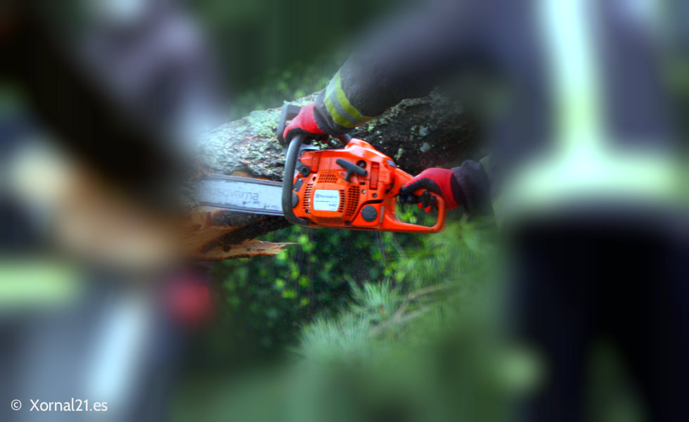 Un hombre resulta herido al caerle un árbol mientras cortaba madera en Mos