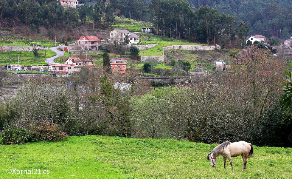 Galicia destina 630.000 euros a proyectos de voluntariado intergeneracional en el medio rural