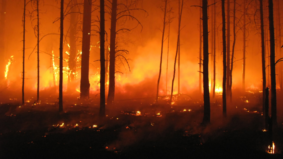 La Xunta reparte un millón de euros en maquinaria contra incendios