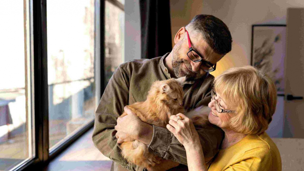 Las adopciones de perros y gatos caen a su nivel más bajo en cinco años