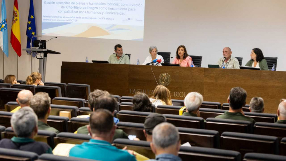El plan de la Xunta salva a la píllara das dunas con 93 parejas