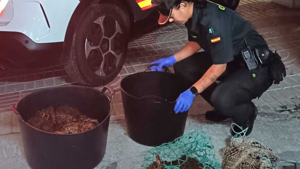 La Guardia Civil denuncia a un furtivo en Moaña con 25 kilos de marisco
