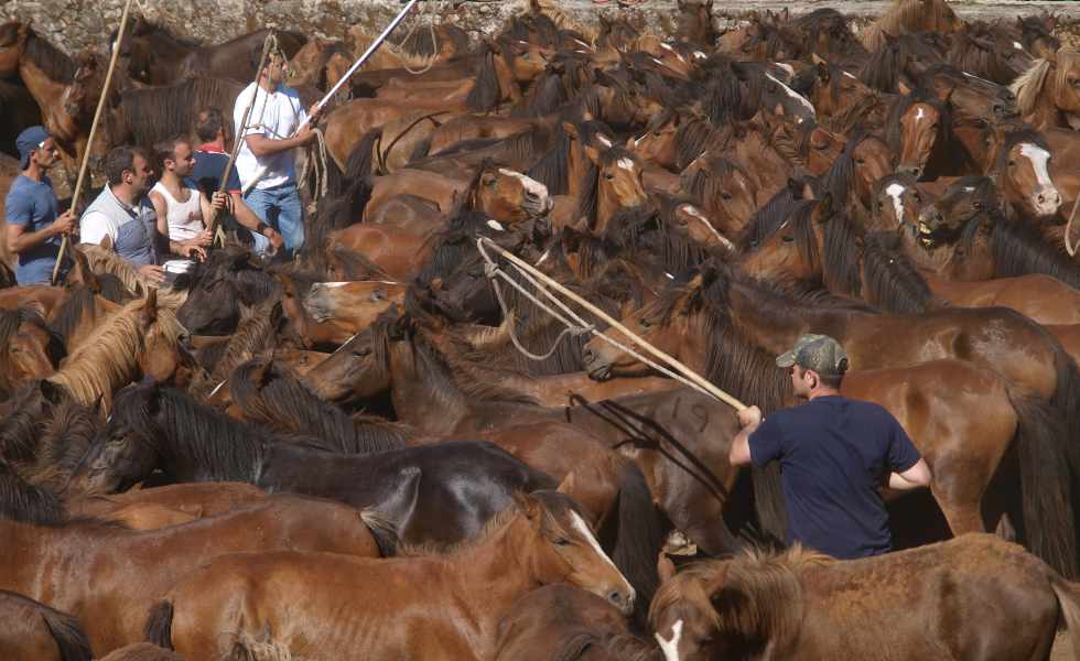 Las &aacute;reas beneficiadas abarcan municipios como Baiona, Mondariz-Balneario, Nigr&aacute;n, Oia, Ponteareas, Mos, Redondela, O Rosal, Tomi&ntilde;o, Tui y Vigo