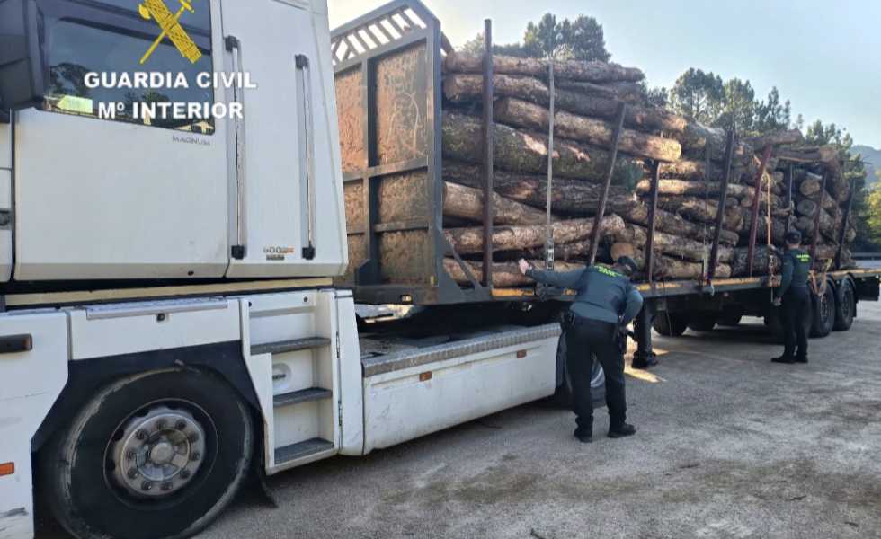 Detenidos dos hombres en Ponteareas por un violento hurto de madera y fuga