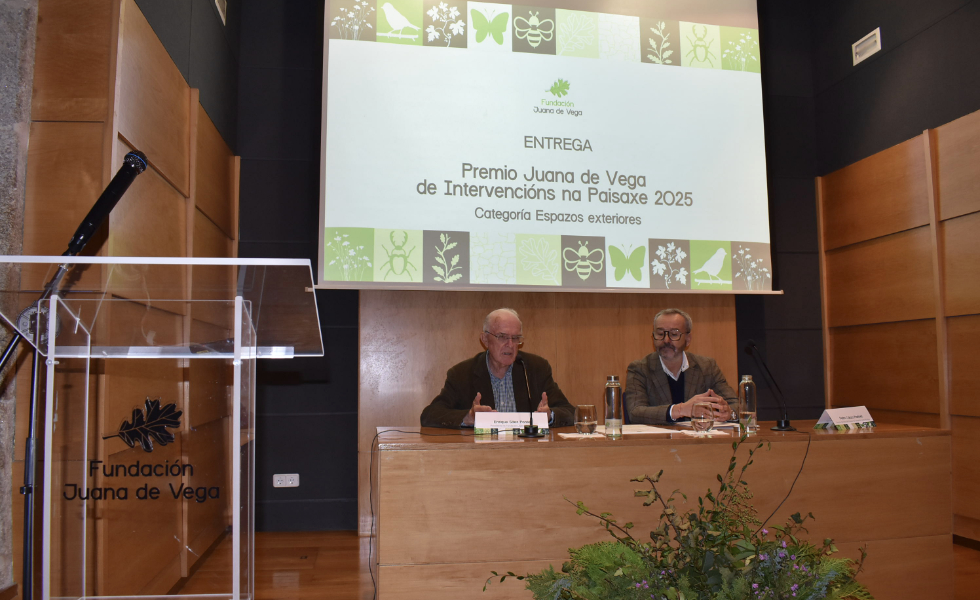 La Entrada del Camino en Santiago, Premio Juana de Vega de Paisaje 2025