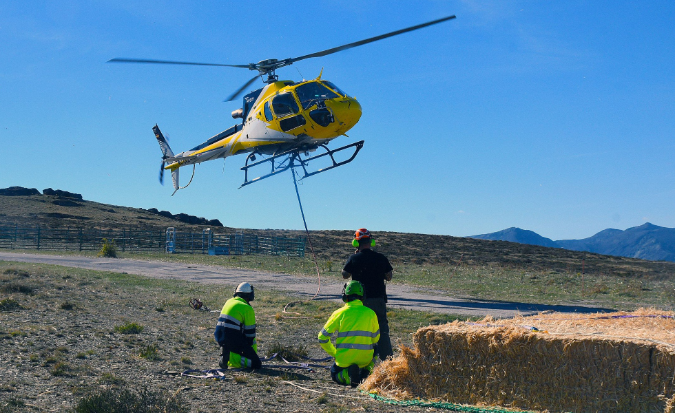 Galicia lanza un puente aéreo para alimentar a su fauna salvaje tras los incendios