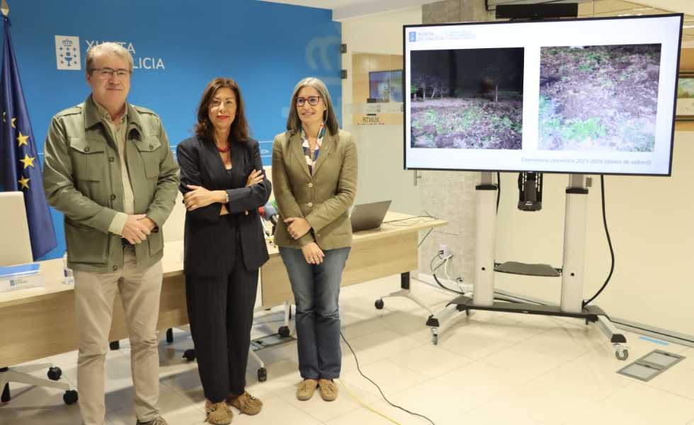 La Xunta declara la emergencia cinegética en 38 comarcas por la sobrepoblación de jabalíes