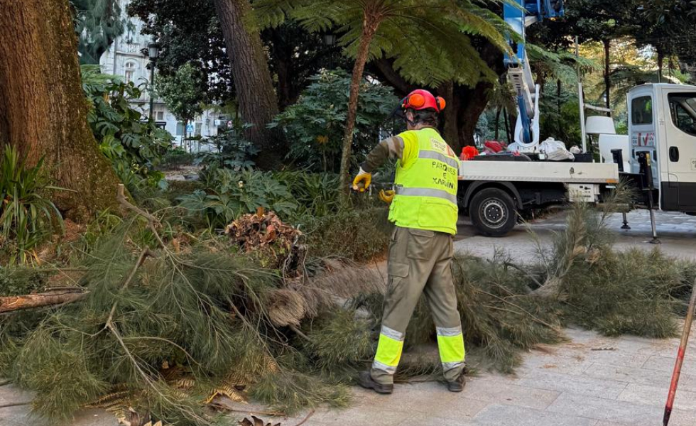 La Asociación de Vecinos Zona Centro de Vigo demuestra su existencia ante las dudas de la concejala