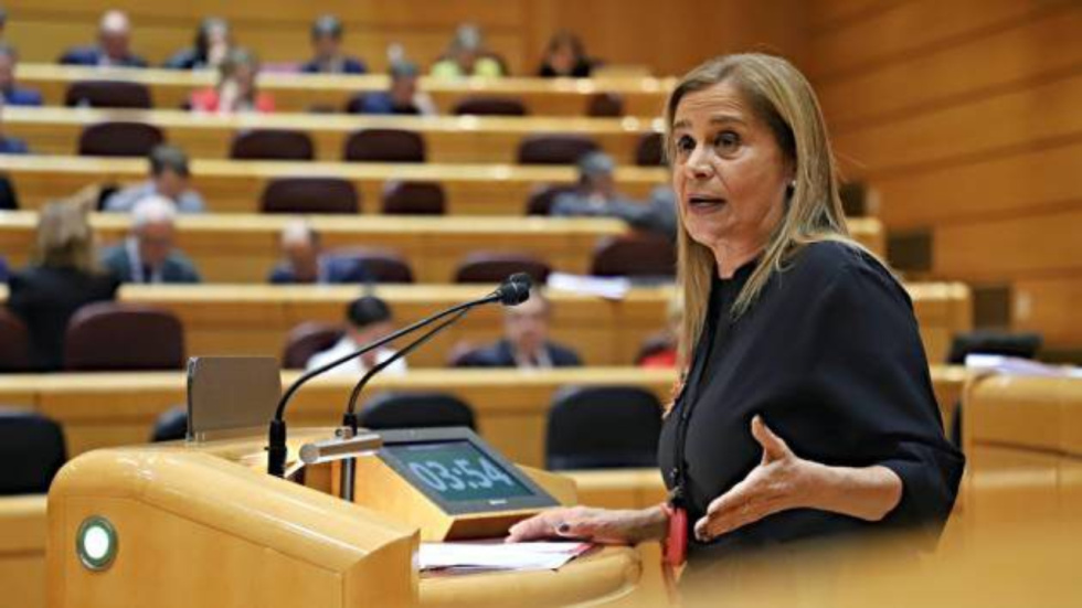 Silva acusa al PP de querer privatizar las pensiones y reivindica la subida