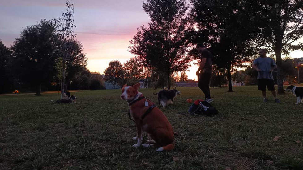 Familias con perros de Barreiro denuncian vigilancia policial tras meses de reivindicaciones