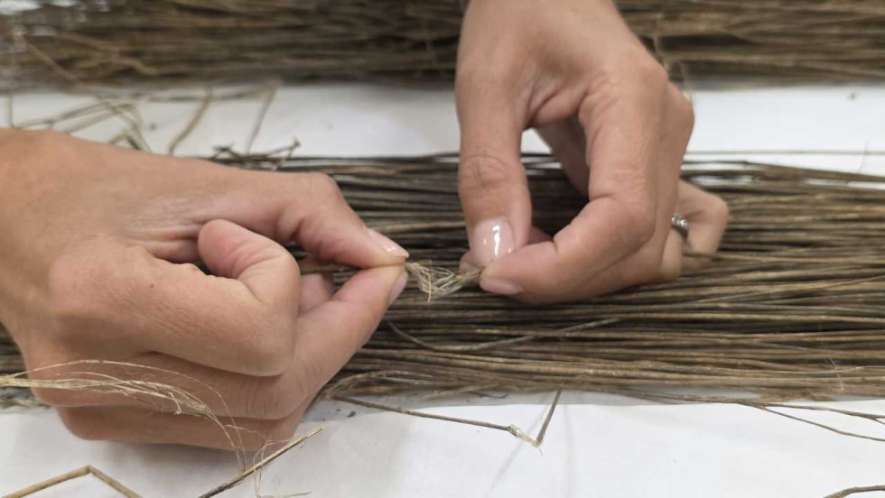 Galicia recupera el cultivo de lino con 24 variedades