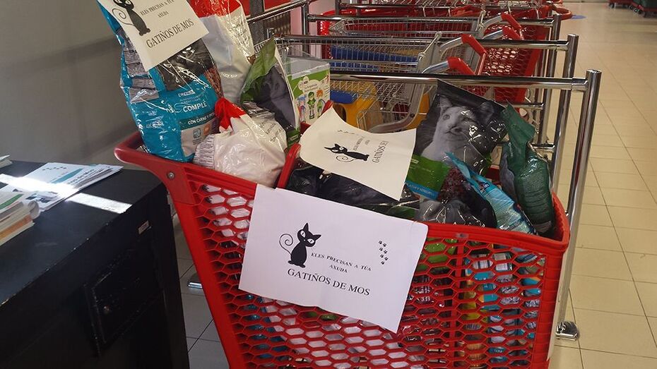 IMAXE: de arquivo dunha xornada de recollida anterior.