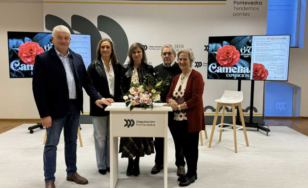 Ponteareas florece con su Exposición de la Camelia este fin de semana