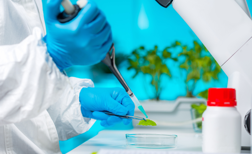 Las universidades gallegas recibirán 12,5 millones para equipamiento de investigación