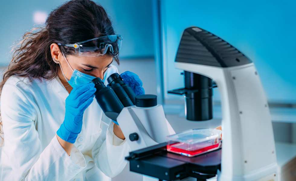 El parásito Marteilia expande su presencia en los berberechos gallegos hasta las rías de Ferrol y Ares-Betanzos