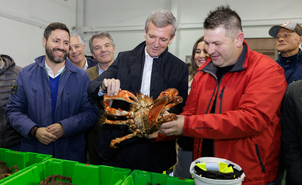 A volandeira de Cambados bate todos os récords na lonxa de Tragove