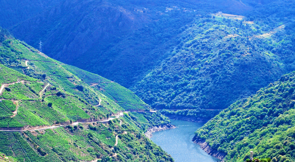 La Ribeira Sacra acogerá este mes el foro Ultreia con 60 expertos y 30 empresas tractoras