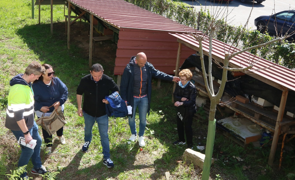 O Porriño esteriliza más de un centenar de gatos callejeros en lo que va de año