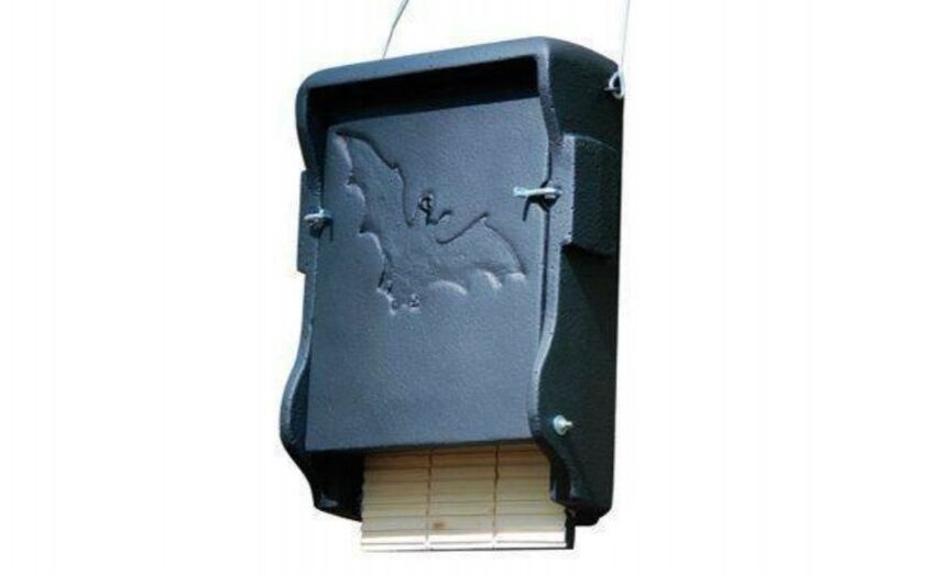 Imaxe dunha caixa-ni&ntilde;o para morcegos