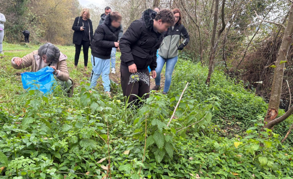 Una 'alfombra' invasora amenaza los ríos gallegos y Nigrán toma medidas en el Muíños