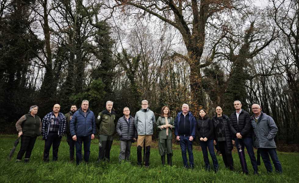 La Xunta anima a los dueños de árboles singulares a pedir ayudas de hasta 8.000 euros para su conservación