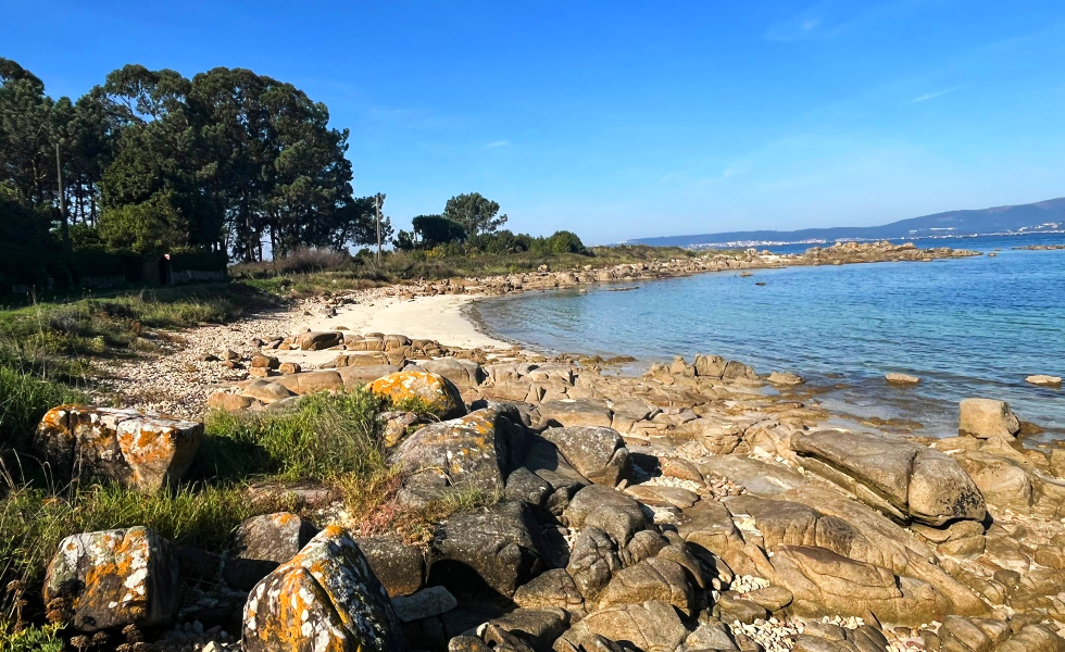Una guía didáctica desvela la trazabilidad del marisco desde las playas de A Illa de Arousa