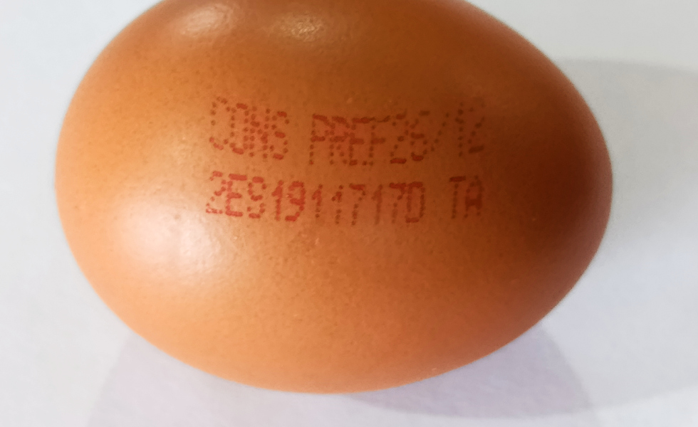 El huevo: ciencia, nutrición y cultura de un alimento universal