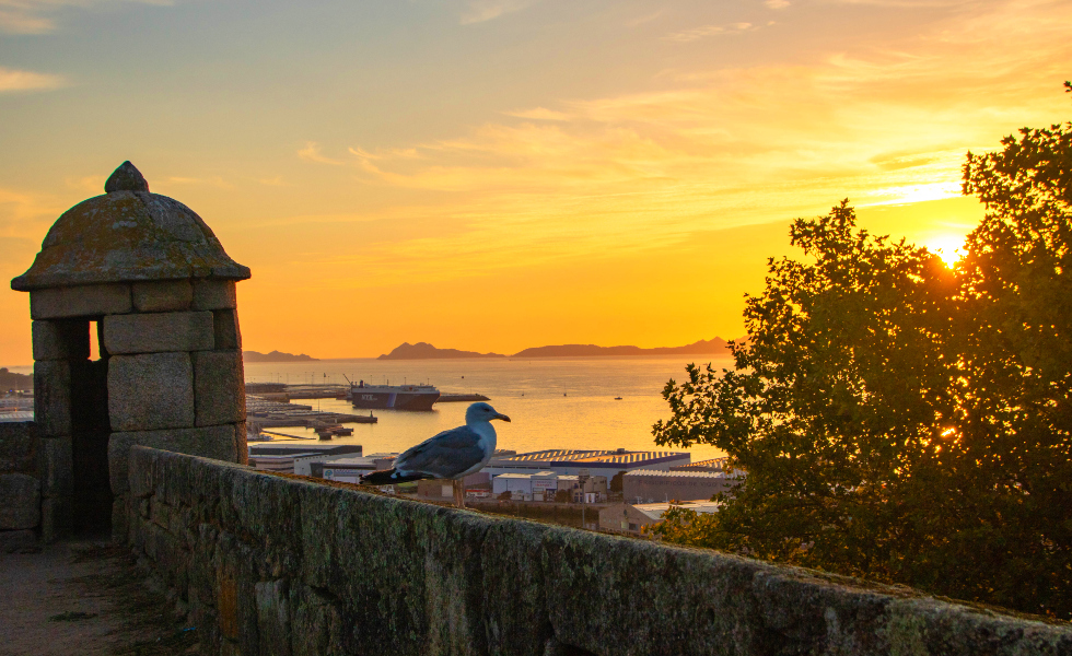 La provincia de Pontevedra lidera la llegada de turistas internacionales en Galicia
