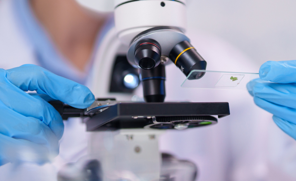 Galicia lanza un proyecto pionero de análisis genómico y vigilancia de la legionela